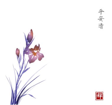 Iris çiçek elle çizilmiş