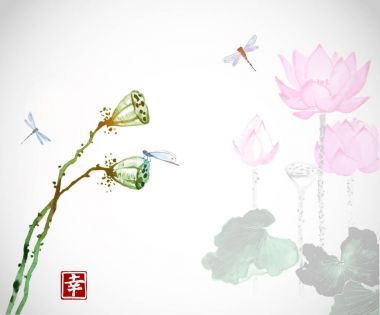Lotus çiçek ve mavi yusufçuk