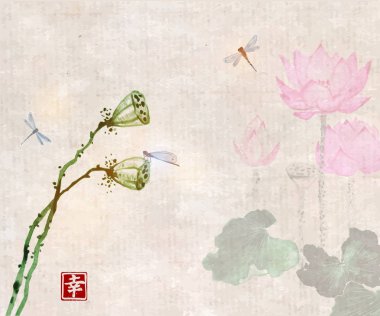 Lotus çiçek ve mavi yusufçuk