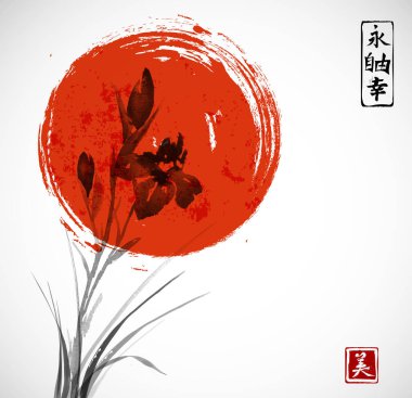 kırmızı güneş çiçeklerle Iris 