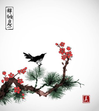 Çam ağacı, sakura kiraz ağacı