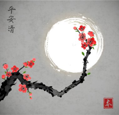 Beyaz Sakura kiraz dalında çiçeği