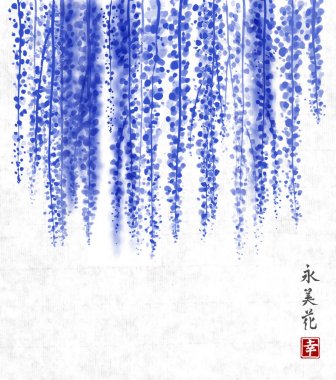 Wisteria elle mürekkeple çizilmiş