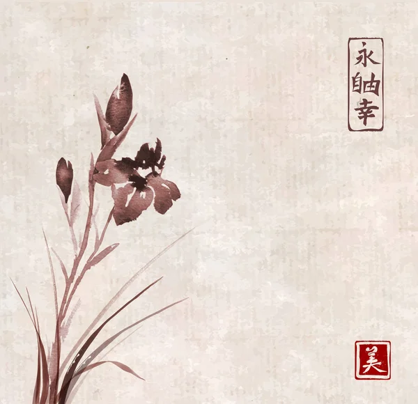 Χέρι λουλούδια ίριδας με μελάνι — Διανυσματικό Αρχείο