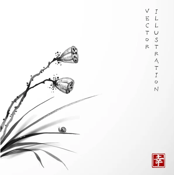 Cabezas de semillas de una flor de loto hojas de hierba — Vector de stock