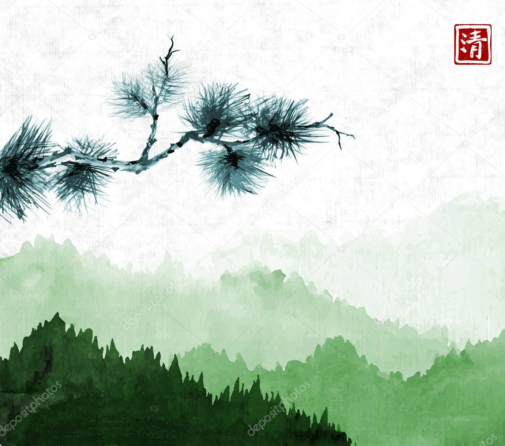 Pine tree branch and green mountains