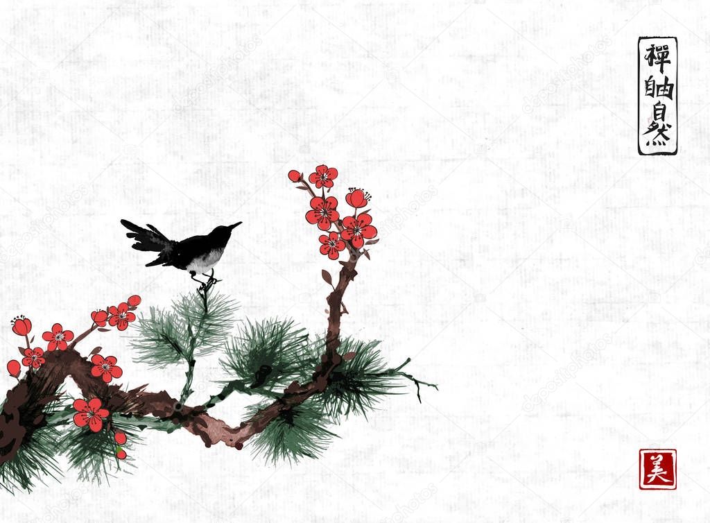 black bird on sakura tree