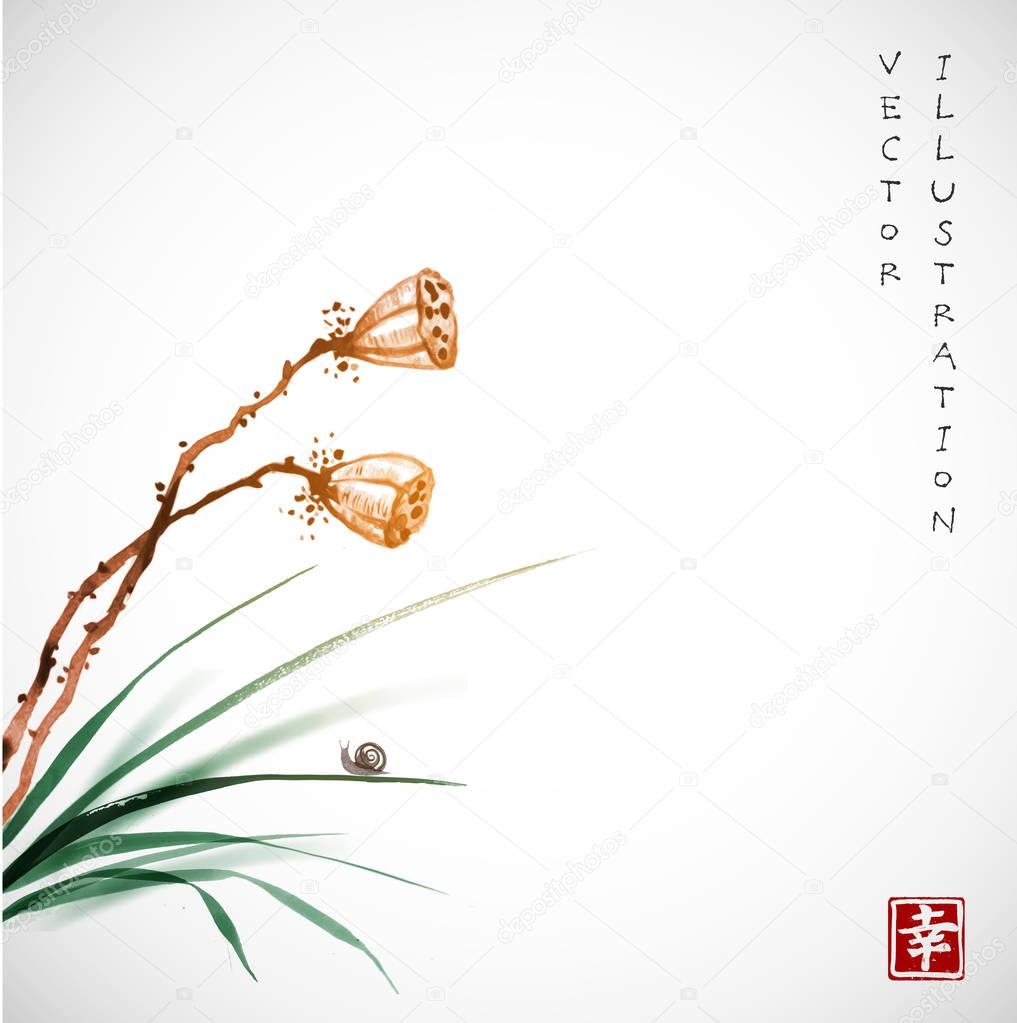 Seed heads of a lotus flower leaves of grass with a little snail on vintage paper background. Traditional oriental ink painting sumi-e, u-sin, go-hua. Hieroglyph - happiness.