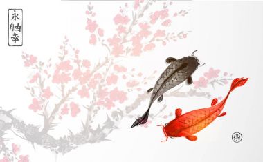 Siyah ve kırmızı koi sakura çiçeği özgeçmişlerine carps. Geleneksel oryantal mürekkep boyama sumi-e, u-sin, go-hua. Hiyeroglif - sonsuzluk, özgürlük, mutluluk, neşe içerir