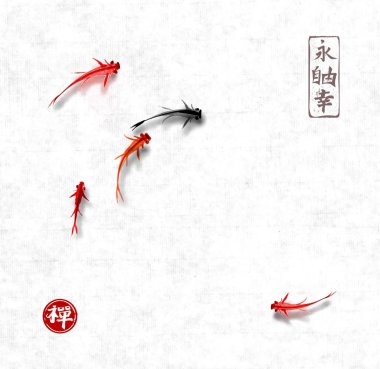 El Japon carps gri arka plan üzerine çekilmiş.