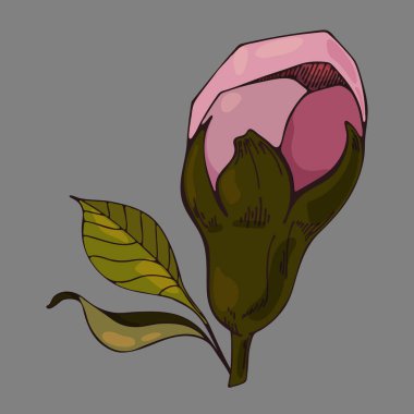 Renkli çiçek vektör çizimi. Gri arka planda elma çiçekleri. Vektör çiçek çizimi. Gri bir arka planda renkli çiçek elementi. Yazdırma, web siteleri, tekstil, ambalaj kağıdı için kullanılabilir.