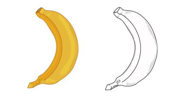 Beyaz arka planda muz illüstrasyonu. Organik Vejetaryen Ürünleri. Restoran veya ambalaj menülerine, etiketlere, posterlere, baskılara uygulanabilir muz sembolleri. Beyaz arka planda renkli muzlar.