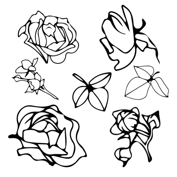 Ensemble Roses Vectorielles Illustration Botanique Fleurs Vectorielles Utilisez Pour Les — Image vectorielle