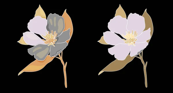 Illustration Vectorielle Helleborus Sur Fond Noir Illustration Pour Carte Vœux — Image vectorielle