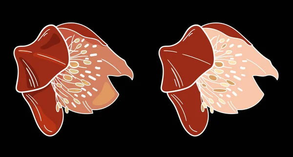 배경에 보로를 초대장 디자인 팜플렛 포스터 플라이어 프린트 포장지 사이트 — 스톡 벡터