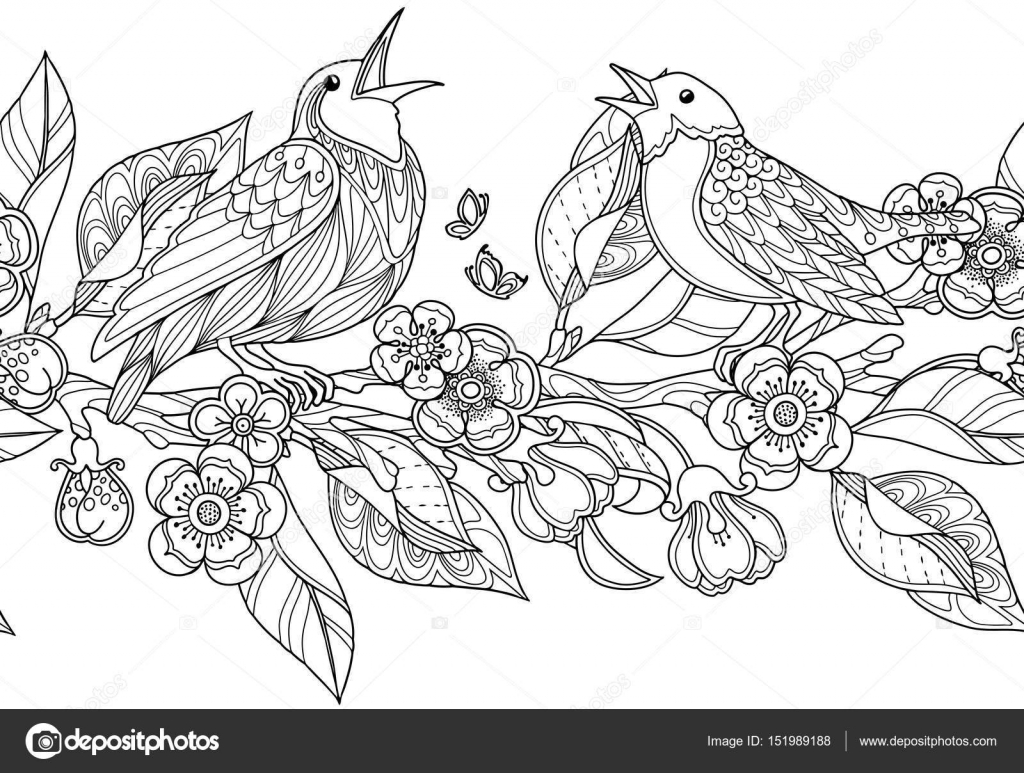 Disegno vettoriale floreale ornato decorativi giardino Fondo monocromatico bianco e nero Uccelli fiori e foglie Zentangle libro da colorare