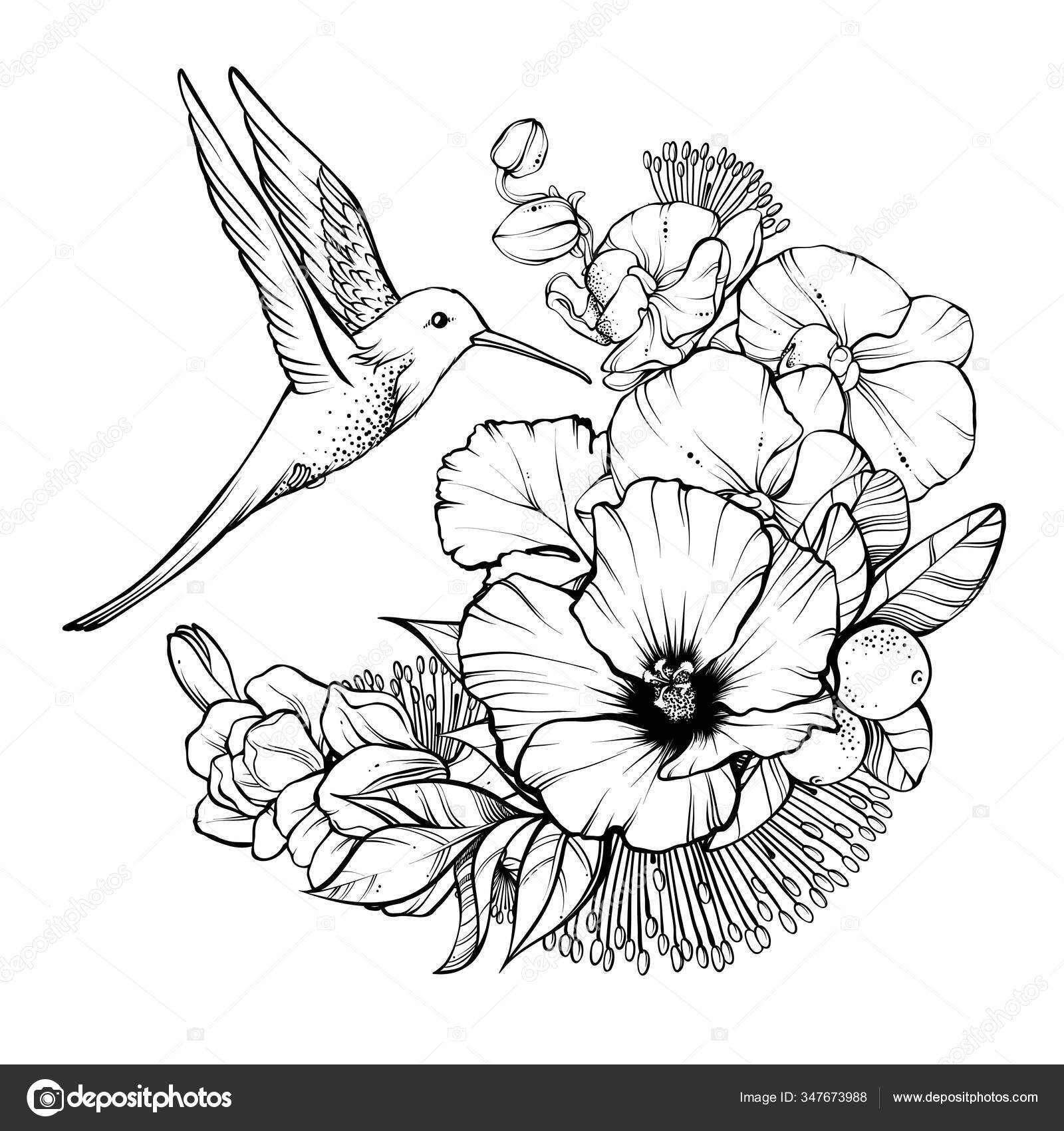 Coloriages Fleurs Exotiques Images Vectorielles Coloriages Fleurs Exotiques Vecteurs Libres De Droits Page 2 Depositphotos