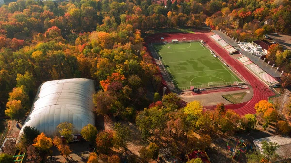 Estadio situado en el bosque de otoño. Parque —  Fotos de Stock