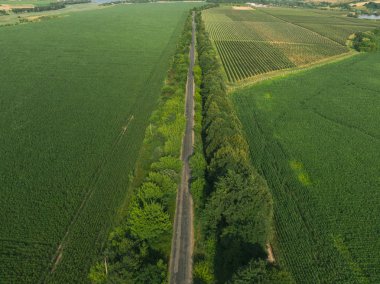 Çapraz yolu olan yeşil alandan aşağıya doğru.