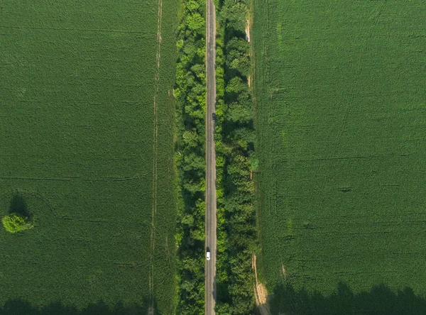 Aerial top down green field with crossing road