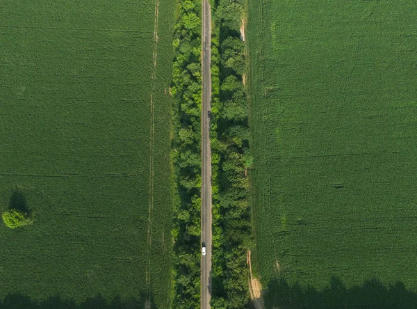 Çapraz yolu olan yeşil alandan aşağıya doğru.