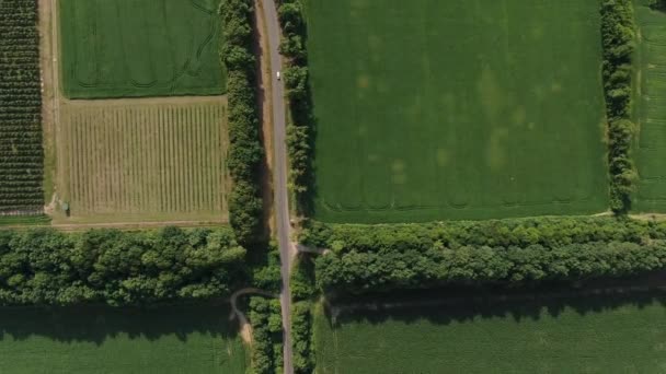 Panorama aérien de la voiture, cette conduite de route, qui mène entre les motifs verts des champs et des jardins. Ukraine, Europe. 4k 