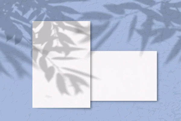 2 Sheets of white texture paper on a blue background. Mockup with overlay of plant shadows . Natural light casts the shadow of field plants and flowers from above — Stock Photo, Image