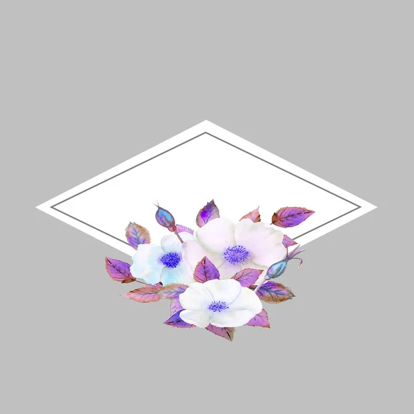 Flores brancas de rosa mosqueta, uma composição em uma moldura azul geométrica. Cartaz floral, convite em tons roxos. Composições de aquarela para a decoração de cartões ou convites — Fotografia de Stock