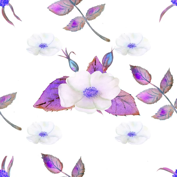 Padrão Sem Costura Flores Frutos Rosa Quadris Aquarela Ilustrações Flores — Fotografia de Stock