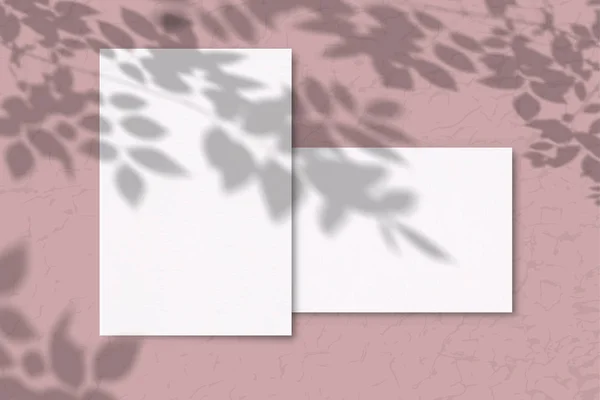 Egy Fehér Papírlap Rózsaszín Háttérrel Mockup Növényi Árnyalatokkal Természetes Fény — Stock Fotó