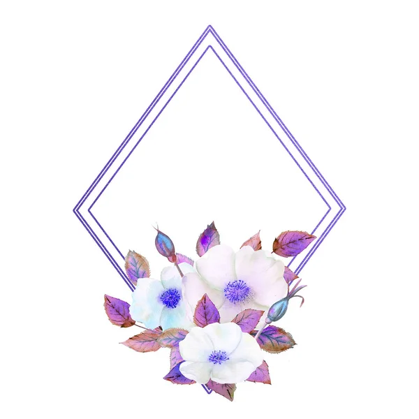 白色的蔷薇花 一种几何蓝色框架的构图 花卉海报 紫色的邀请函 用于装饰贺卡或邀请函的水彩画 — 图库照片