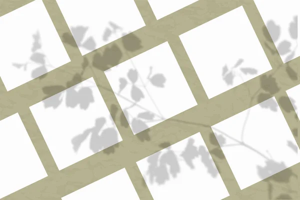 Många Fyrkantiga Ark Vitt Texturerat Papper Mot Olivvägg Mockupen Överdragen — Stockfoto