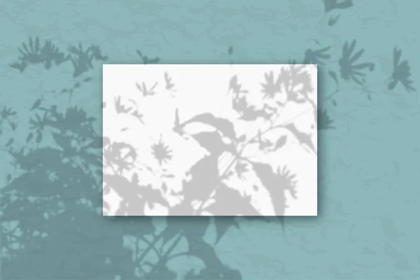一个水平的A4页白色纹理纸的绿色墙壁背景 用植物的影子把模型盖起来 自然光从田间植物和花卉的顶部投射出阴影 — 图库照片