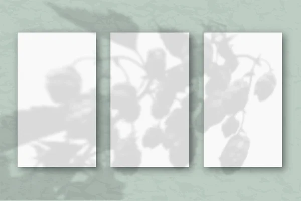 Vertikala Ark Vitt Texturerat Papper Pastell Grön Blå Vägg Bakgrund — Stockfoto