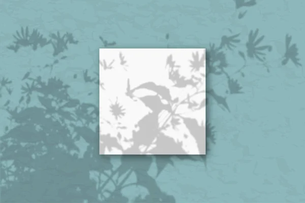 1平方的白色纹理纸贴在绿墙上 用植物阴影包裹起来的模型 自然光从田间植物和花卉的顶部投射出阴影 平躺在地上 俯瞰四周 — 图库照片