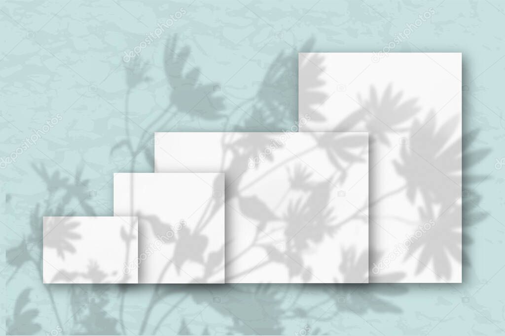 Several horizontal and vertical sheets of white textured paper against a blue wall. Mockup overlay with the plant shadows. Natural light casts shadows from flowers and leaves of daisies.