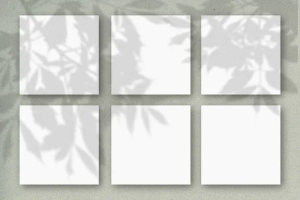 Τετράγωνα Φύλλα Λευκού Χαρτιού Έναν Γκριζοπράσινο Τοίχο Mockup Επικαλύπτονται Τις — Φωτογραφία Αρχείου