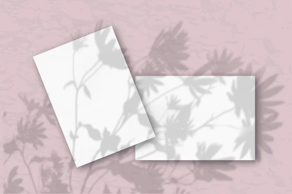 Arkusze Białego Papieru Teksturowanego Różowej Ścianie Makieta Nakładką Cieni Roślinnych — Zdjęcie stockowe