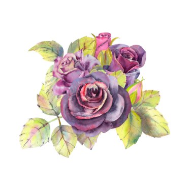 Koyu gül, yeşil yapraklar, kompozisyon. Düğün çiçekleri konsepti. Çiçek posteri, davetiye. Tebrik kartı ya da davetiye tasarımı için suluboya kompozisyonları. 1 buket