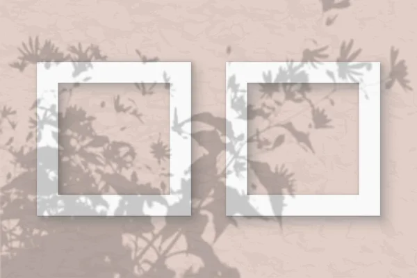 Kwadratowe Ramki Pastelowym Różowym Tle Ściany Makieta Pokrywa Się Cieniami — Zdjęcie stockowe