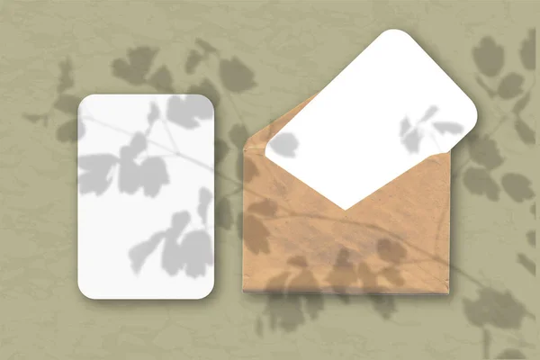 一个信封 上面有两片白色的纹理纸 贴在橄榄石墙的背景上 用植物阴影包裹起来的模型 自然光从田间植物和花卉的顶部投射出阴影 — 图库照片