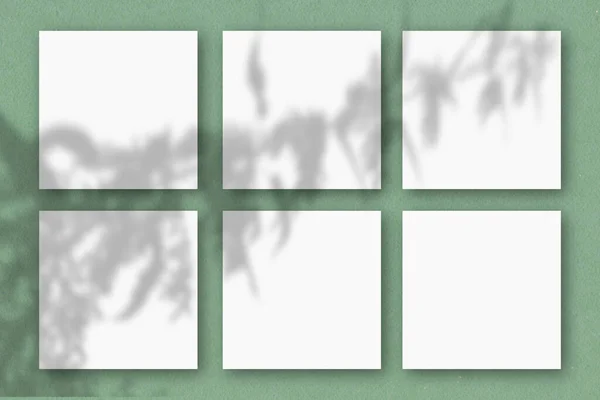 Folhas Quadradas Papel Texturizado Branco Parede Verde Mockup Sobrepõe Sombras — Fotografia de Stock