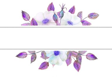 Beyaz gül çiçeği, geometrik çerçevede çiçek aranjmanı. Çiçek posteri, mor tonlu davetiye. Tebrik kartları veya davetiyelerin dekorasyonu için suluboya kompozisyonları.