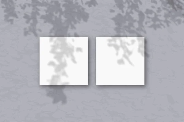 2 folhas quadradas de papel texturizado branco contra uma parede cinza. Mockup se sobrepõe às sombras das plantas. A luz natural lança sombras da folhagem das árvores. Deitado plano, vista superior . — Fotografia de Stock