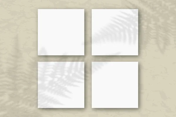 4 folhas quadradas de papel texturizado branco no fundo da parede cinza. Mockup com uma sobreposição de sombras de fábrica. A luz natural lança sombras das folhas da samambaia. Deitado plano, vista superior — Fotografia de Stock