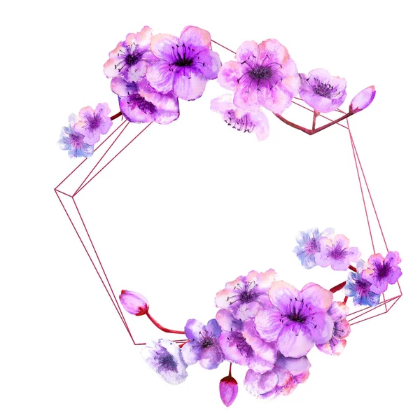 Fleur de cerisier, fleur de cerisier Branche avec des fleurs rose vif sur un cadre géométrique sur un fond blanc isolé. Image du printemps. Illustration aquarelle . — Photo