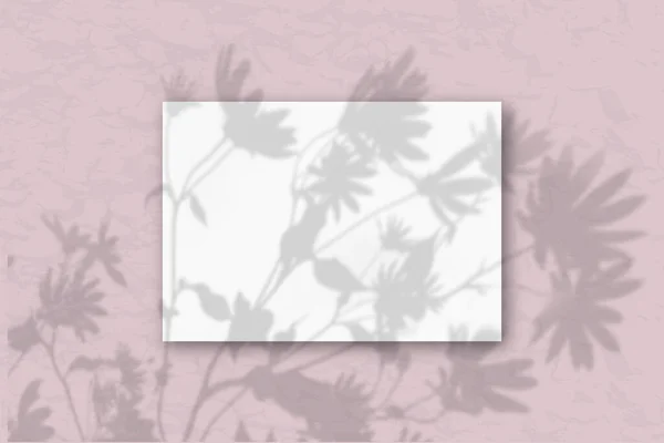Ein Horizontales Din Blatt Aus Weißem Strukturiertem Papier Auf Pastellrosa — Stockfoto