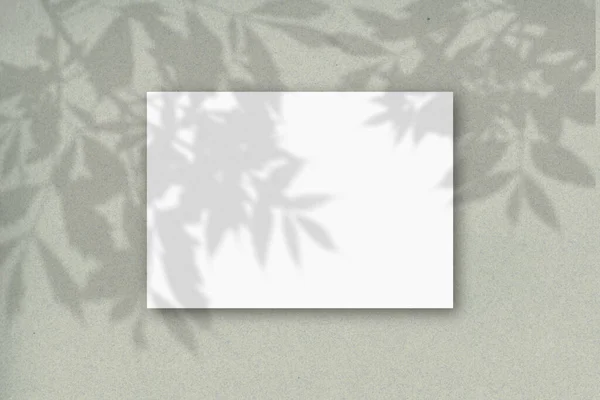 Горизонтальный Лист Формата Белой Текстурированной Бумаги Фоне Зеленой Стены Наложение — стоковое фото