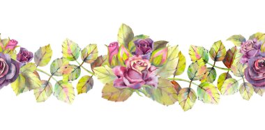 Siyah güller, tomurcuklar, yapraklar. Tekrar eden yaz yatay sınırı. Çiçekli suluboya. Tebrik kartı ya da davetiye tasarımı için suluboya kompozisyonlar. Görüntü