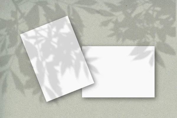 緑の壁に対して白いテクスチャ紙の2枚 植物の影のオーバーレイとモックアップ 自然の光は木の葉から影を投げかける フラットレイアウト トップビュー — ストック写真